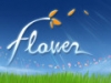 Poradnik do Flower - wszystkie Trofea [Flower Ball Trophy Guide]